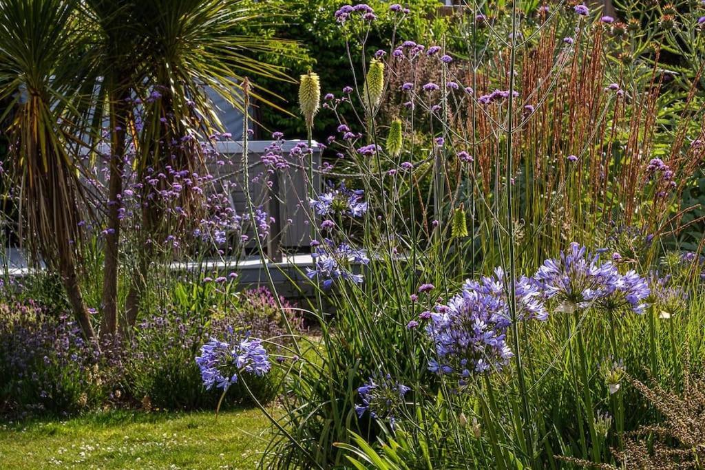 The Beach House-Devon- On The Beach- Sleeps 20 Villa Exmouth Bagian luar foto
